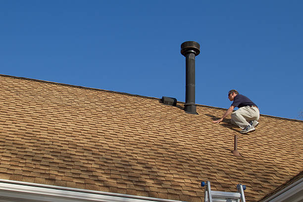 Best Roof Moss and Algae Removal  in Bryans Road, MD